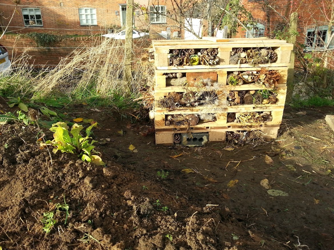 Creating bug hotel